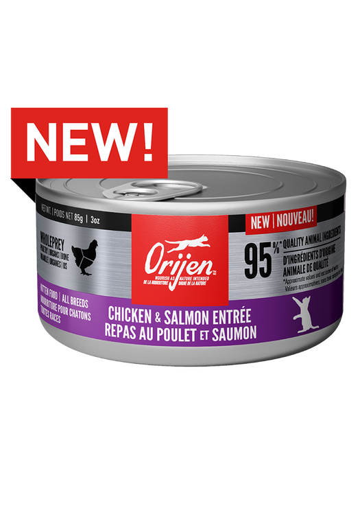 Chicken & Salmon Entrée Wet Food for Kittens